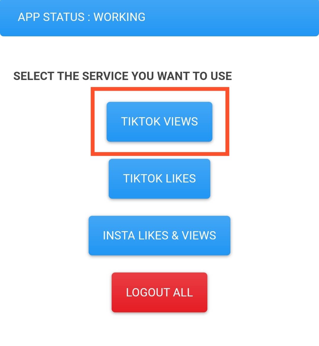 TikTok Views